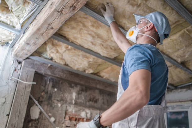 Best Insulation Contractors for Homes  in Shaker Heights, OH