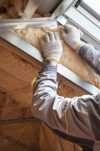 Best Insulation Replacement Services  in Shaker Heights, OH