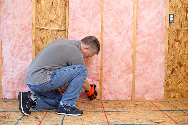 Best Professional Insulation Contractor  in Shaker Heights, OH